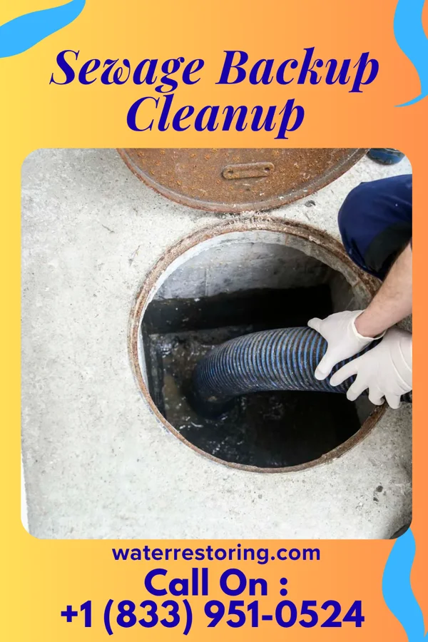 Sewage Backup Cleanup in Batesville, AR